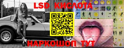 a pvp Свободный