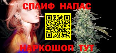 a pvp Свободный